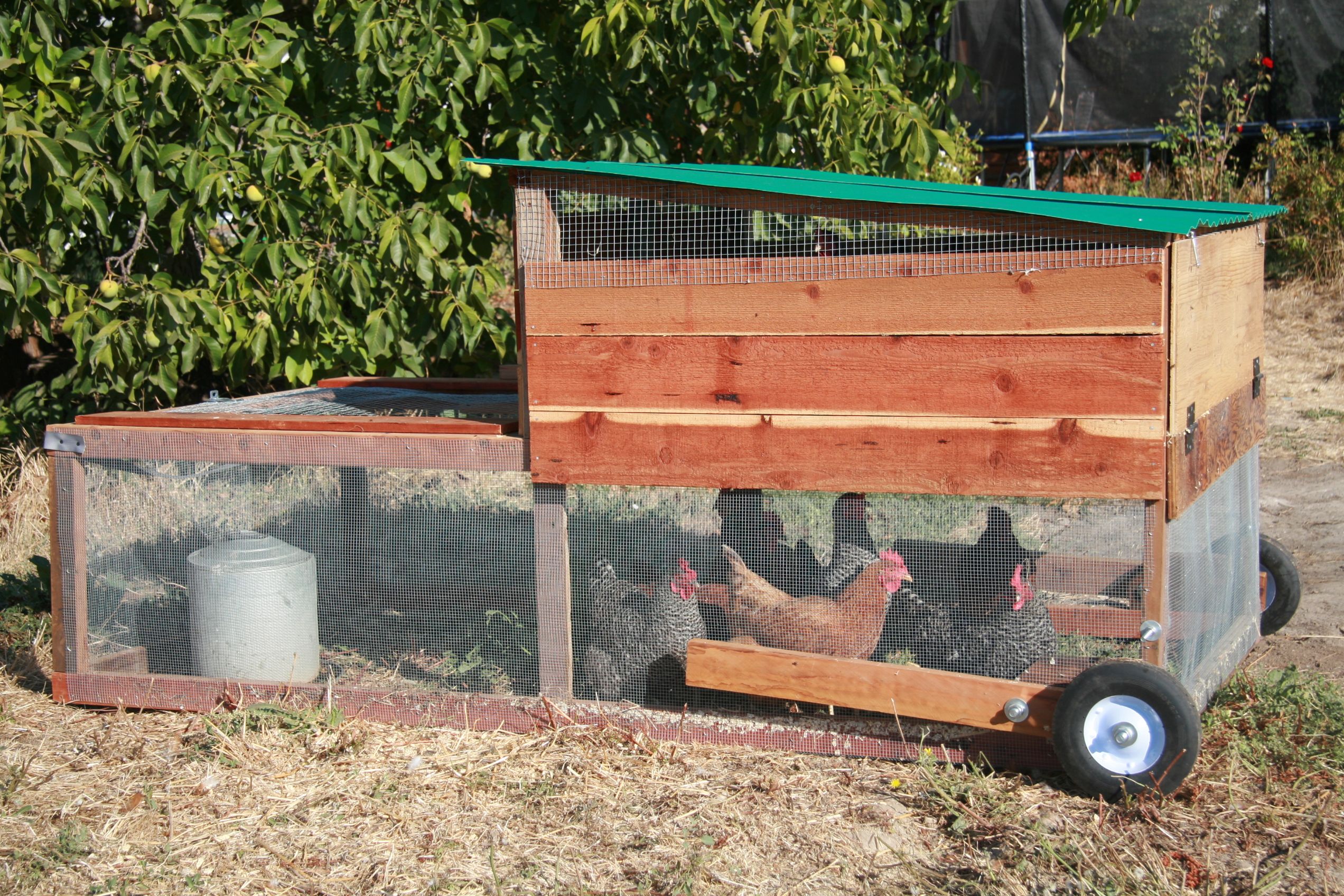 How And Why We Built A Chicken Tractor